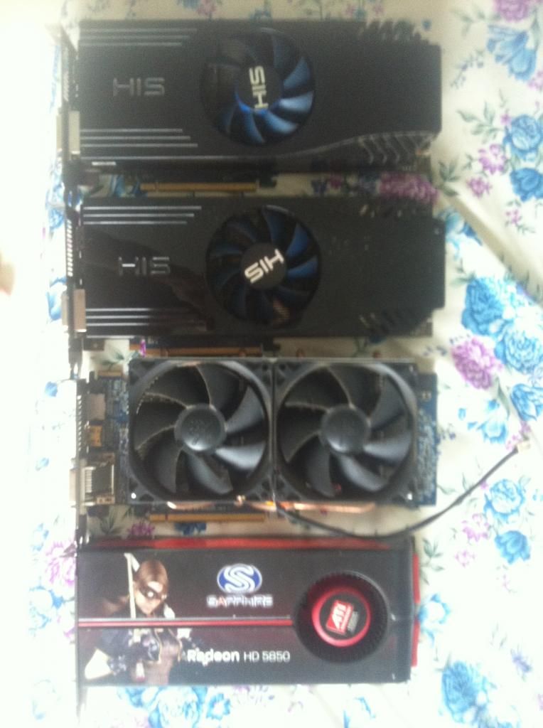 Bán mấy con trâu 5850