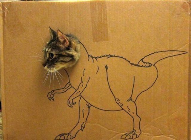 CardboardCat5.jpg