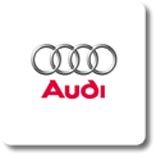 Eibach Prokit Audi