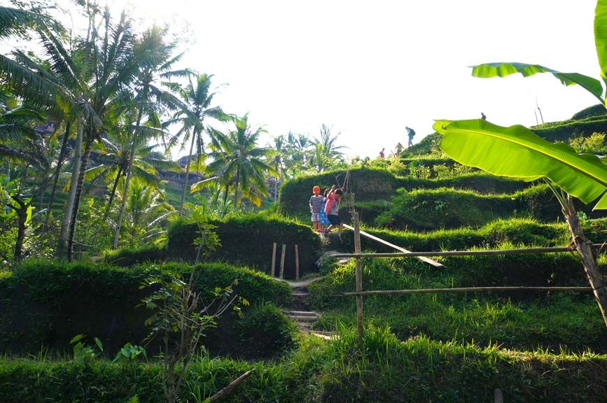 Little cousins playing together at Tegalagang Rice Terraces, Ubud, Bali
