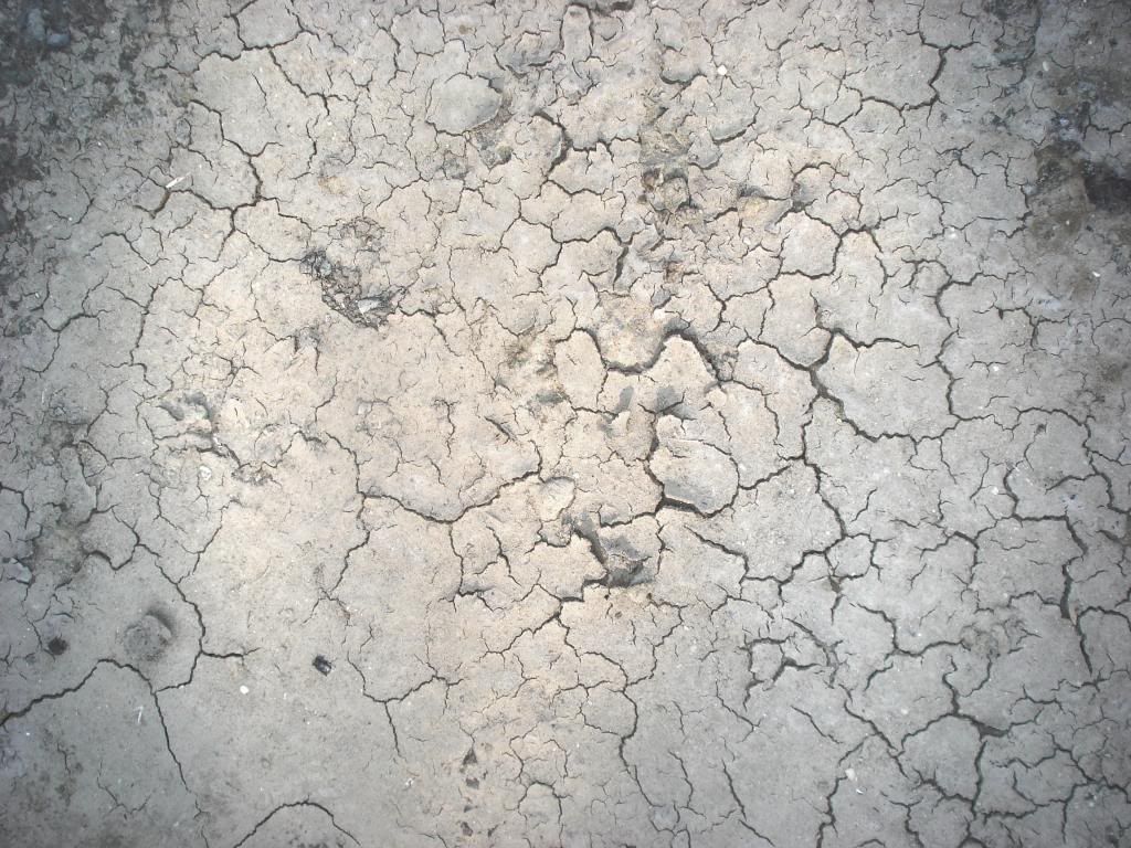 earth crack photo earth_cracks_by_ftIsis_Stock_zps62bf0c33.jpg