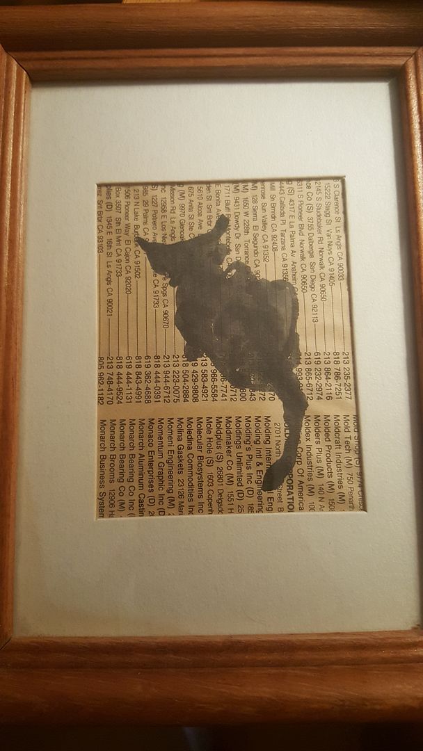 photo 20150831_111158_zpsehgdtrnu.jpg