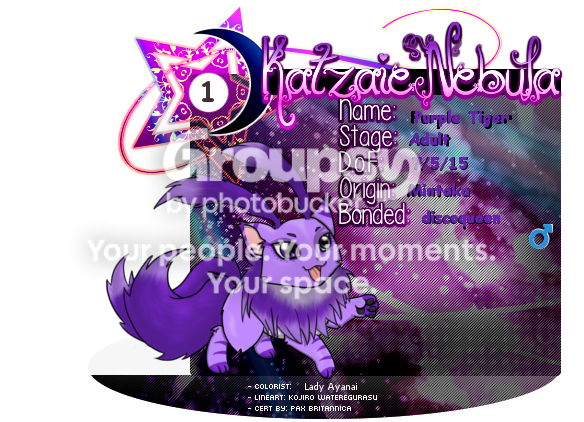User Image